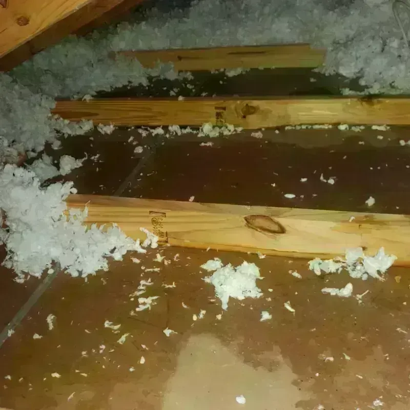 Attic Water Damage in Eyota, MN