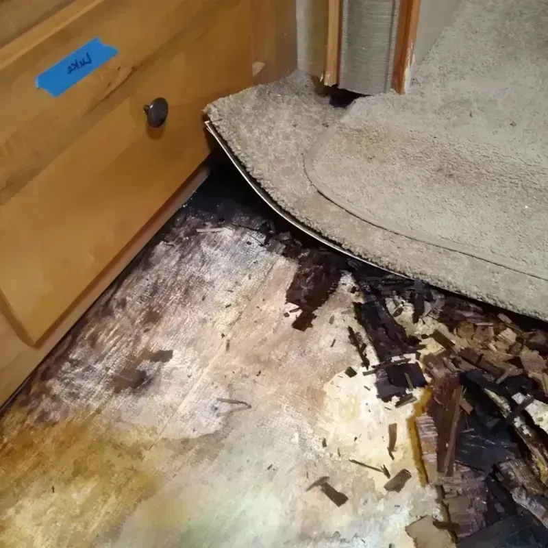 Wood Floor Water Damage in Eyota, MN